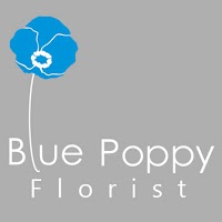 Blue Poppy Florist 283351 Image 0